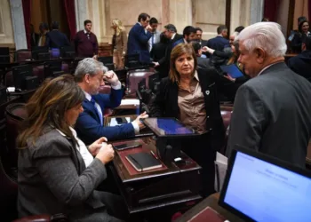 Revés para el Gobierno de Milei: Senado posterga ley de extranjerización de la tierra