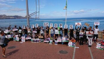 PACMA celebra el carpetazo definitivo al proyecto de granja de pulpos de Nueva Pescanova en Gran Canaria