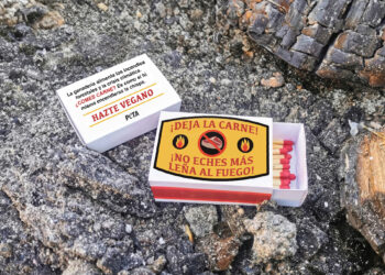 PETA envía caja de cerillas a ministra para la Transición Ecológica: “Comer animales es como iniciar incendios forestales”