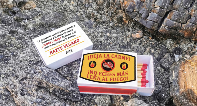 PETA envía caja de cerillas a ministra para la Transición Ecológica: “Comer animales es como iniciar incendios forestales”