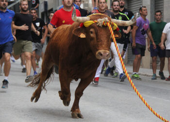 La Plataforma Defensa Animal muestra su rechazo al torico de la cuerda en Chiva