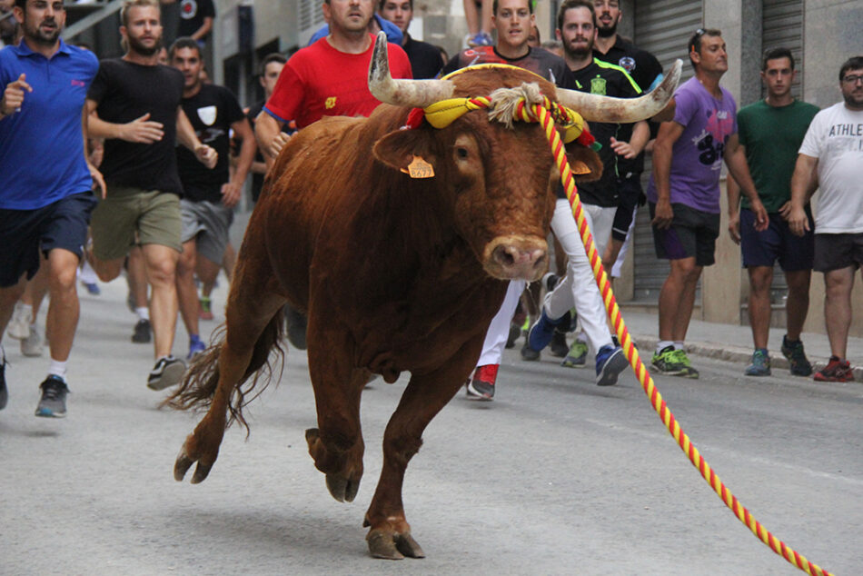 La Plataforma Defensa Animal muestra su rechazo al torico de la cuerda en Chiva