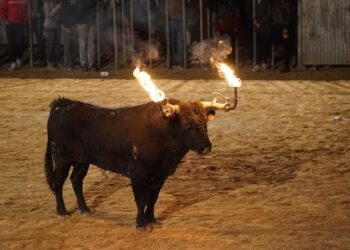 Lamentan que un niño de solamente 2 años haya resultado herido en los festejos taurinos de Castalla (Alicante)