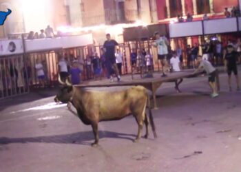 La Plataforma Defensa Animal reclama al Ayuntamiento de El Vergel no seguir celebrando actos taurinos