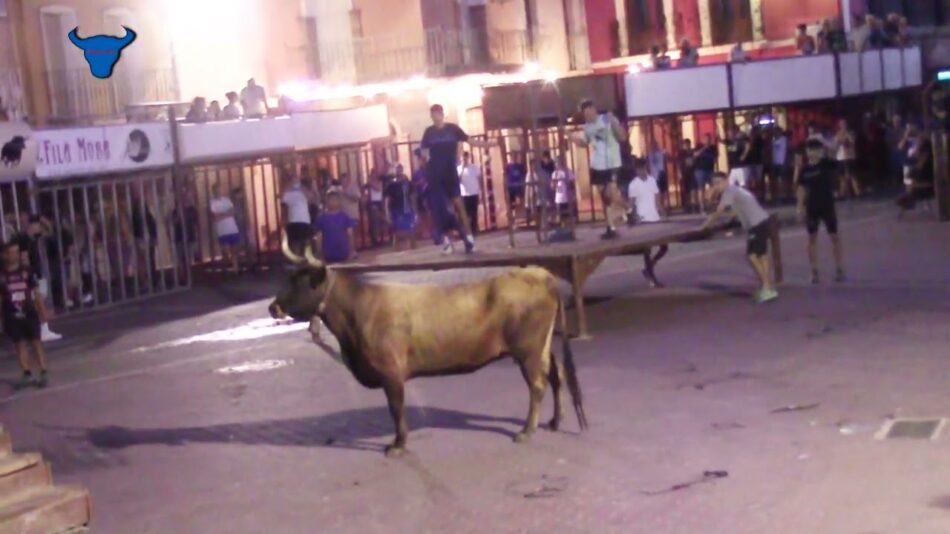 La Plataforma Defensa Animal reclama al Ayuntamiento de El Vergel no seguir celebrando actos taurinos
