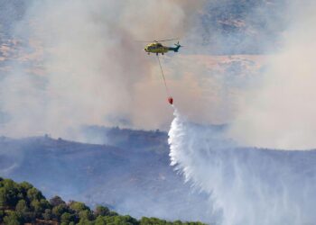 El Partido Verde reclama protocolos de emergencia inmediatos y afea al Ayto. de Córdoba que ignore las alertas por contaminación atmosférica