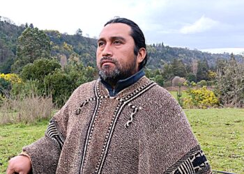 Rodrigo Curipán: «Pueblo mapuche de Chile de bajo Malleco en lucha por territorio sagrado usurpado por industria de la basura»