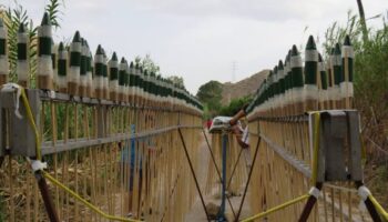 PACMA solicita la suspensión cautelarísima de la cohetada de Ojós para proteger el entorno del Valle de Ricote