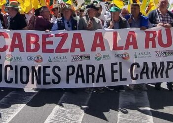 IUCyL apoya a las organizaciones agrarias e insta a la Junta a que cumpla con el sector cerealista