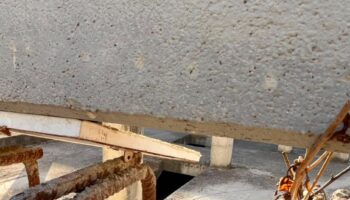«Ante el virus del Nilo, el Ayuntamiento tiene que mirar más allá del Zoobotánico: hay una enorme balsa de agua en una obra abandonada a pocos metros”