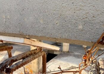 «Ante el virus del Nilo, el Ayuntamiento tiene que mirar más allá del Zoobotánico: hay una enorme balsa de agua en una obra abandonada a pocos metros”