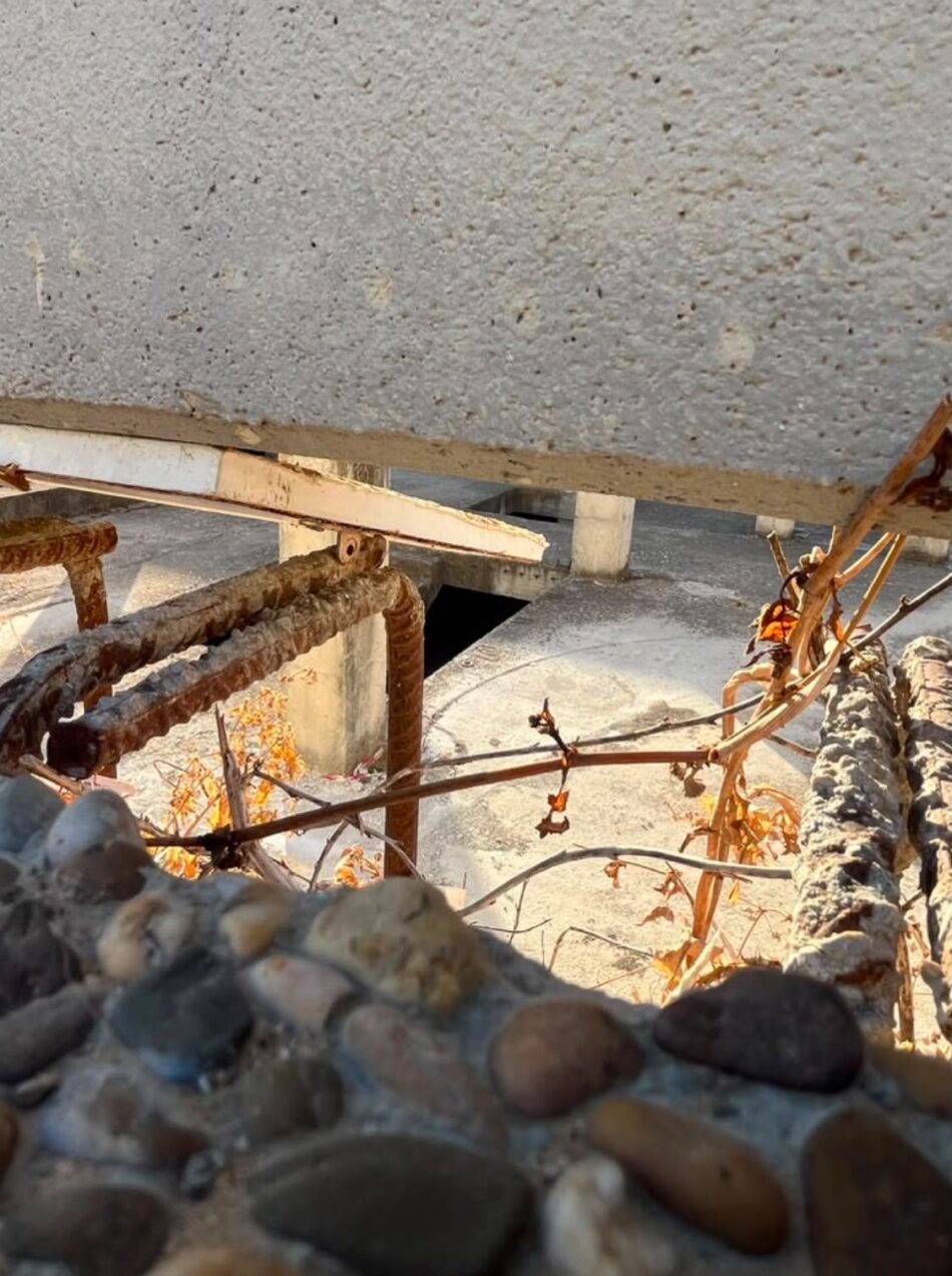 «Ante el virus del Nilo, el Ayuntamiento tiene que mirar más allá del Zoobotánico: hay una enorme balsa de agua en una obra abandonada a pocos metros”