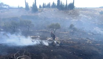 Israel desarrolla campaña ilegal de incendios provocados al sur del Líbano