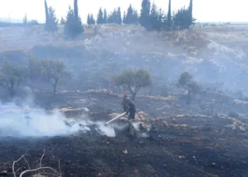 Israel desarrolla campaña ilegal de incendios provocados al sur del Líbano