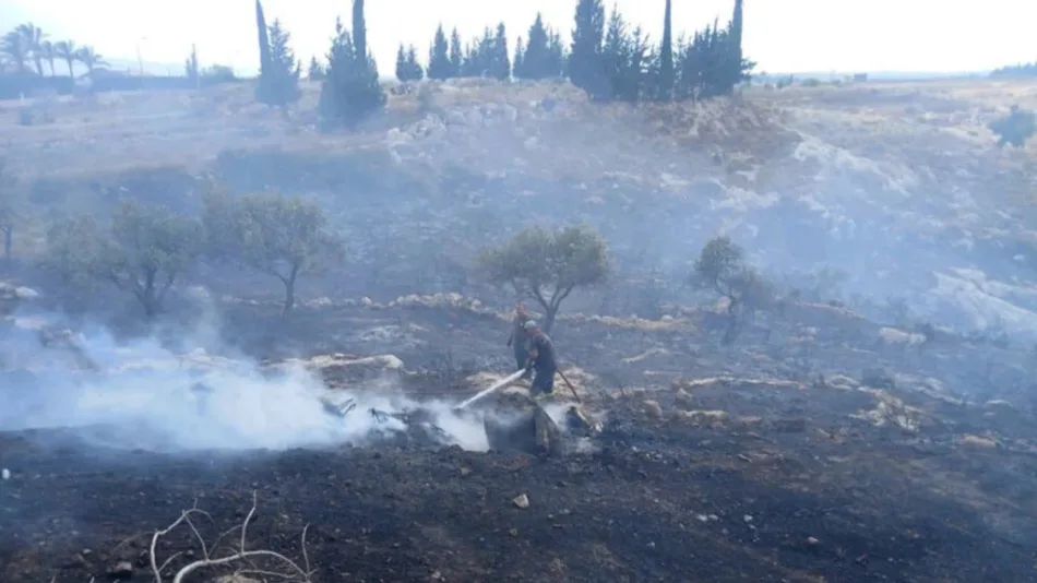 Israel desarrolla campaña ilegal de incendios provocados al sur del Líbano