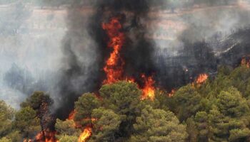 Espinosa: «El recorte en prevención de incendios del Consejo del PP no se apaña con la incorporación de un centenar de efectivos sin formación en pleno agosto»