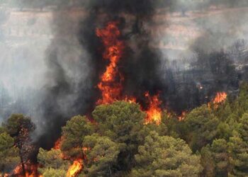 Espinosa: «El recorte en prevención de incendios del Consejo del PP no se apaña con la incorporación de un centenar de efectivos sin formación en pleno agosto»