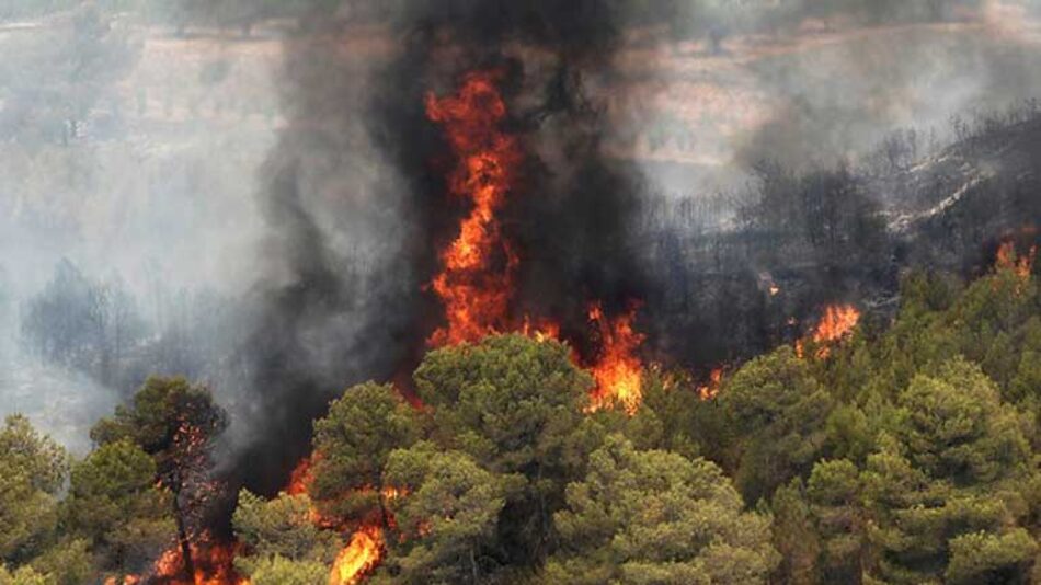 Espinosa: «El recorte en prevención de incendios del Consejo del PP no se apaña con la incorporación de un centenar de efectivos sin formación en pleno agosto»