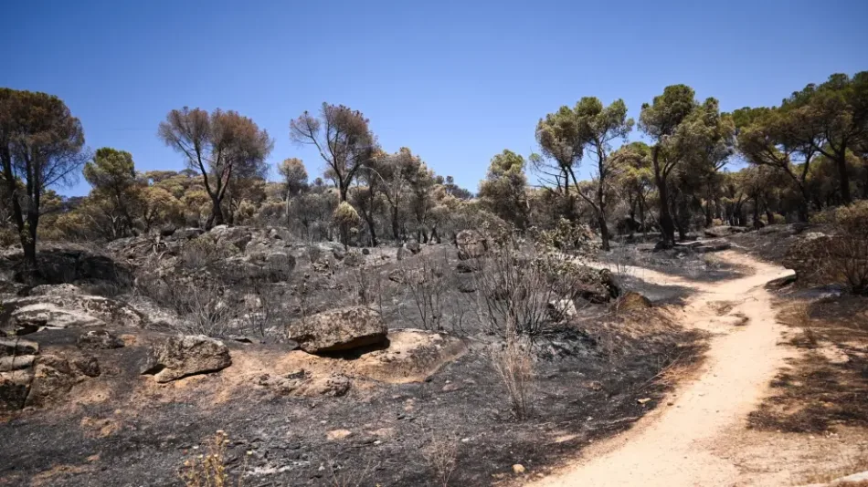 Ecologistas en Acción considera insuficiente la limitación cinegética aprobada por la Comunidad de Madrid tras los incendios en la Sierra Oeste