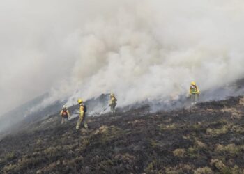 Agentes e ingenieros del operativo de incendios forestales de Aragón también irán a la huelga si la DGA no atiende a sus reivindicaciones