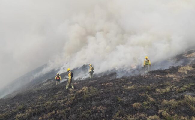 Agentes e ingenieros del operativo de incendios forestales de Aragón también irán a la huelga si la DGA no atiende a sus reivindicaciones