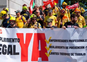 El papel de las Administraciones Públicas en la gestión de los incendios forestales