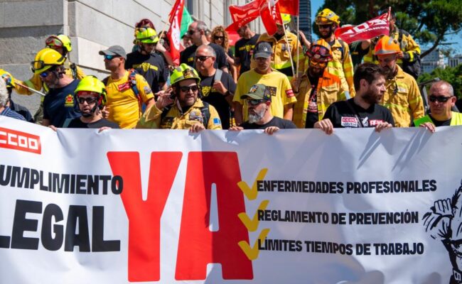 El papel de las Administraciones Públicas en la gestión de los incendios forestales