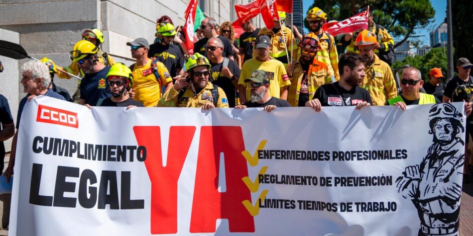 El papel de las Administraciones Públicas en la gestión de los incendios forestales