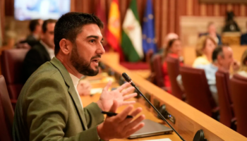 IU reclama la tasa turística para Sevilla: “La ciudad corre el riesgo de morir de éxito si el turismo no contribuye a sostenerla”