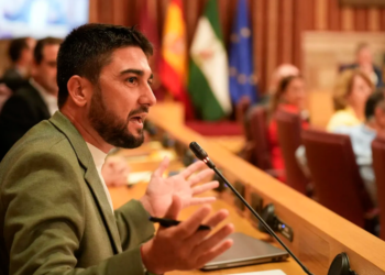 IU reclama la tasa turística para Sevilla: “La ciudad corre el riesgo de morir de éxito si el turismo no contribuye a sostenerla”