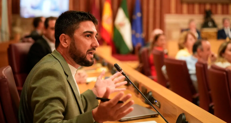 IU reclama la tasa turística para Sevilla: “La ciudad corre el riesgo de morir de éxito si el turismo no contribuye a sostenerla”