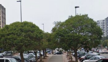 Denuncian que en Avilés talan árboles para hacer aparcamientos para coches