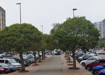 Denuncian que en Avilés talan árboles para hacer aparcamientos para coches