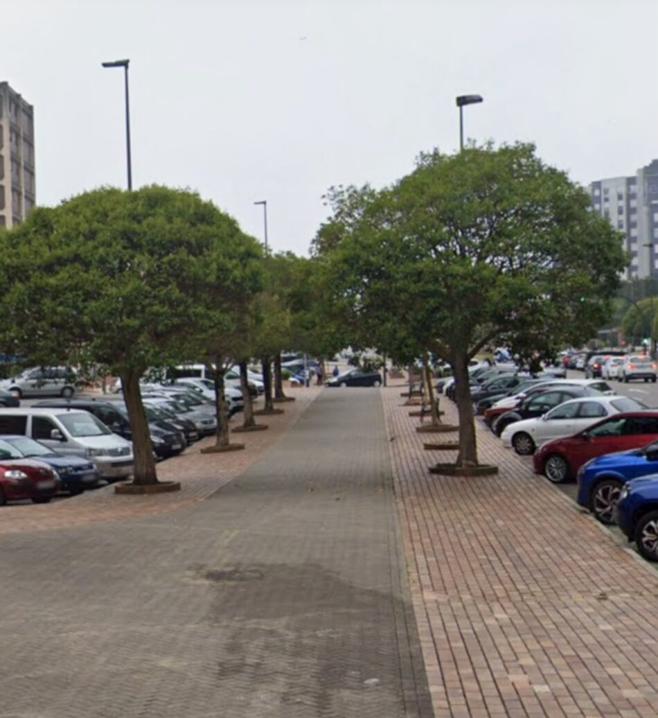 Denuncian que en Avilés talan árboles para hacer aparcamientos para coches