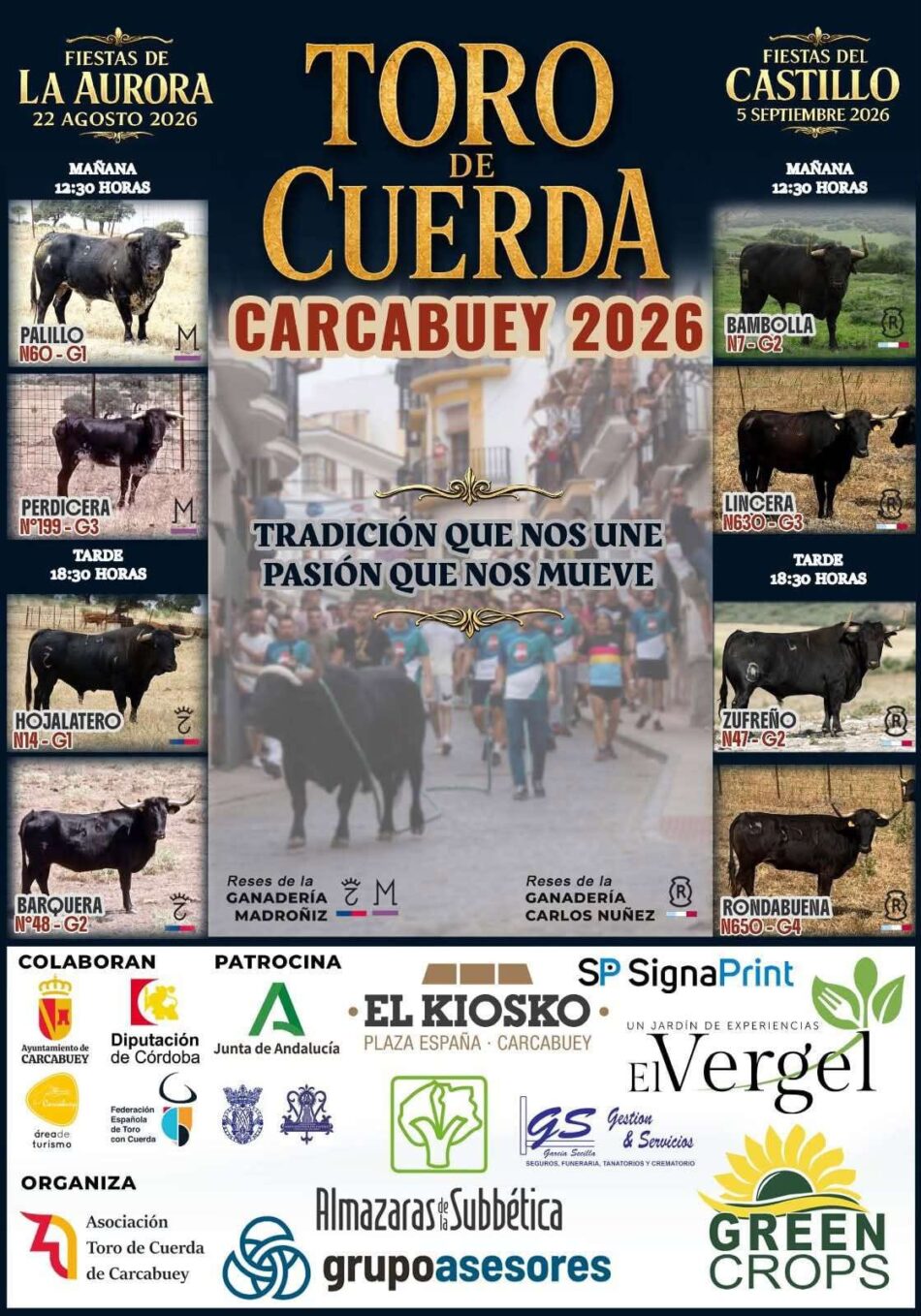 El Partido Verde exige la suspensión inmediata del Toro de Cuerda en Carcabuey (Córdoba) por maltrato animal y riesgo público