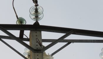 Alertan de la constante mortalidad por electrocución de aves rapaces en Morales de Toro y del riesgo de incendios asociados