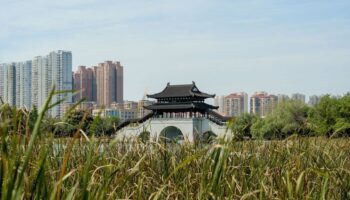 Entra en vigor el primer Código de Ecología y Medio Ambiente de China