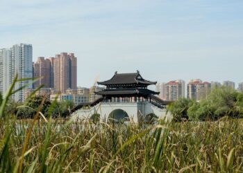 Entra en vigor el primer Código de Ecología y Medio Ambiente de China