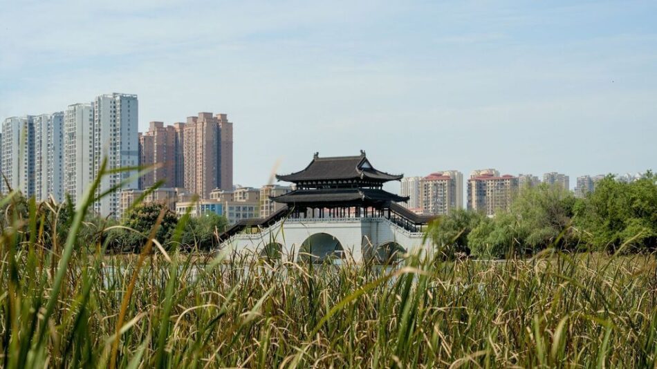 Entra en vigor el primer Código de Ecología y Medio Ambiente de China