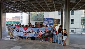 Grupo Lobo Asturias: «el gobierno asturiano insiste empecinadamente en la errónea estrategia de matar lobos, niega la evidencia científica y ningunea las medidas preventivas»