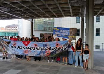 Grupo Lobo Asturias: «el gobierno asturiano insiste empecinadamente en la errónea estrategia de matar lobos, niega la evidencia científica y ningunea las medidas preventivas»