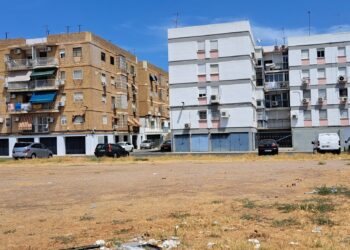 El Partido Verde traslada su plan bioclimático barrio a barrio y exige soluciones específicas frente al calor extremo en Poniente, Sur, Levante y Casco Histórico de Córdoba