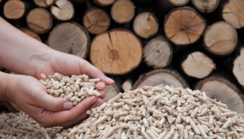 ¿Por qué los combustibles de madera ganan terreno como alternativa de calefacción sostenible en España?