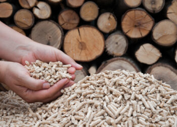 ¿Por qué los combustibles de madera ganan terreno como alternativa de calefacción sostenible en España?