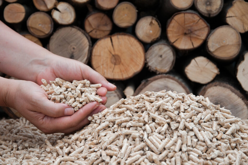 ¿Por qué los combustibles de madera ganan terreno como alternativa de calefacción sostenible en España?