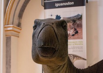 Describen la infección bacteriana que sufrió un dinosaurio de Morella hace 125 millones de años