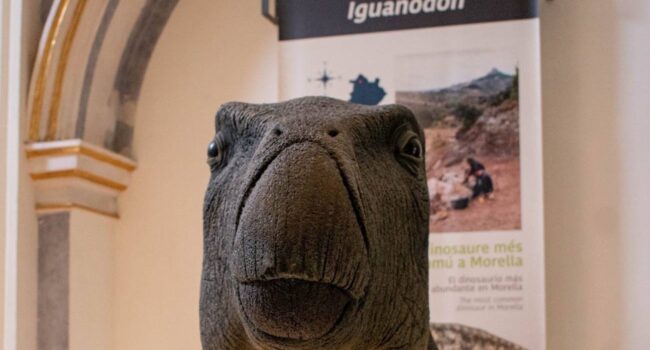 Describen la infección bacteriana que sufrió un dinosaurio de Morella hace 125 millones de años