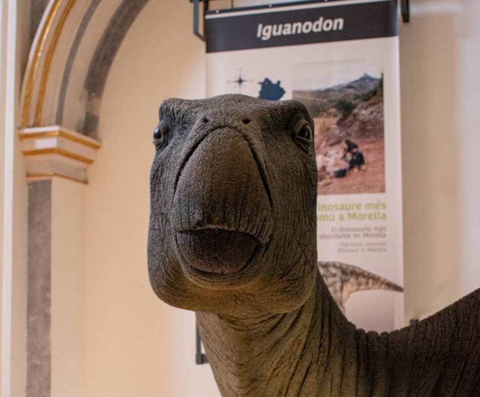 Describen la infección bacteriana que sufrió un dinosaurio de Morella hace 125 millones de años