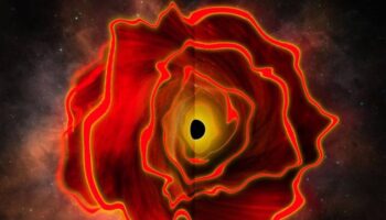 Descubierto un posible nuevo objeto astrofísico que combina una estrella y un agujero negro