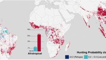 Elaboran los primeros mapas globales que muestran cómo se expande la caza y los efectos que provoca